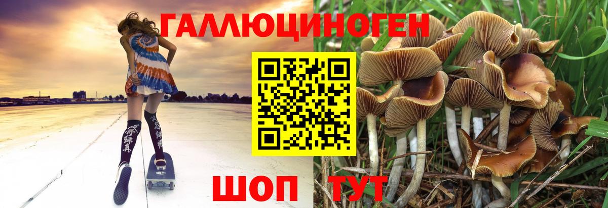 Галлюциногенные грибы Cubensis  купить наркоту  Саяногорск  Псилоцибиновые грибы MAGIC MUSHROOMS  Вход с VPN 